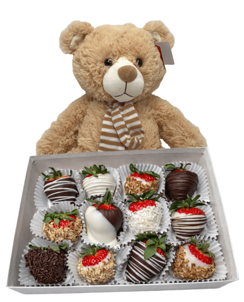 Teddy Bear and Chocolates Standard Teddy Bear and Chocolates Standard